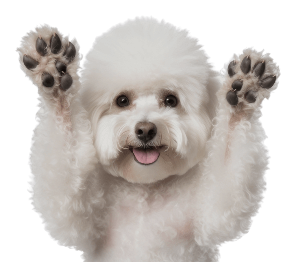 Puppy